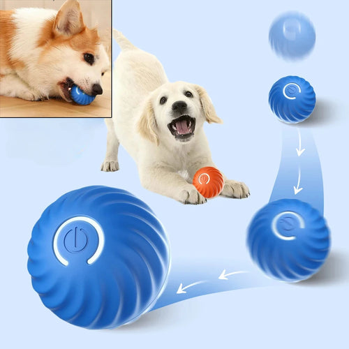 Self-Moving Dog Ball Toy – Interactive, Fun & Tireless Playtime
