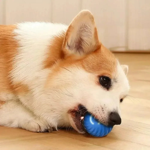 Self-Moving Dog Ball Toy – Interactive, Fun & Tireless Playtime