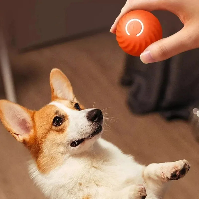 Self-Moving Dog Ball Toy – Interactive, Fun & Tireless Playtime